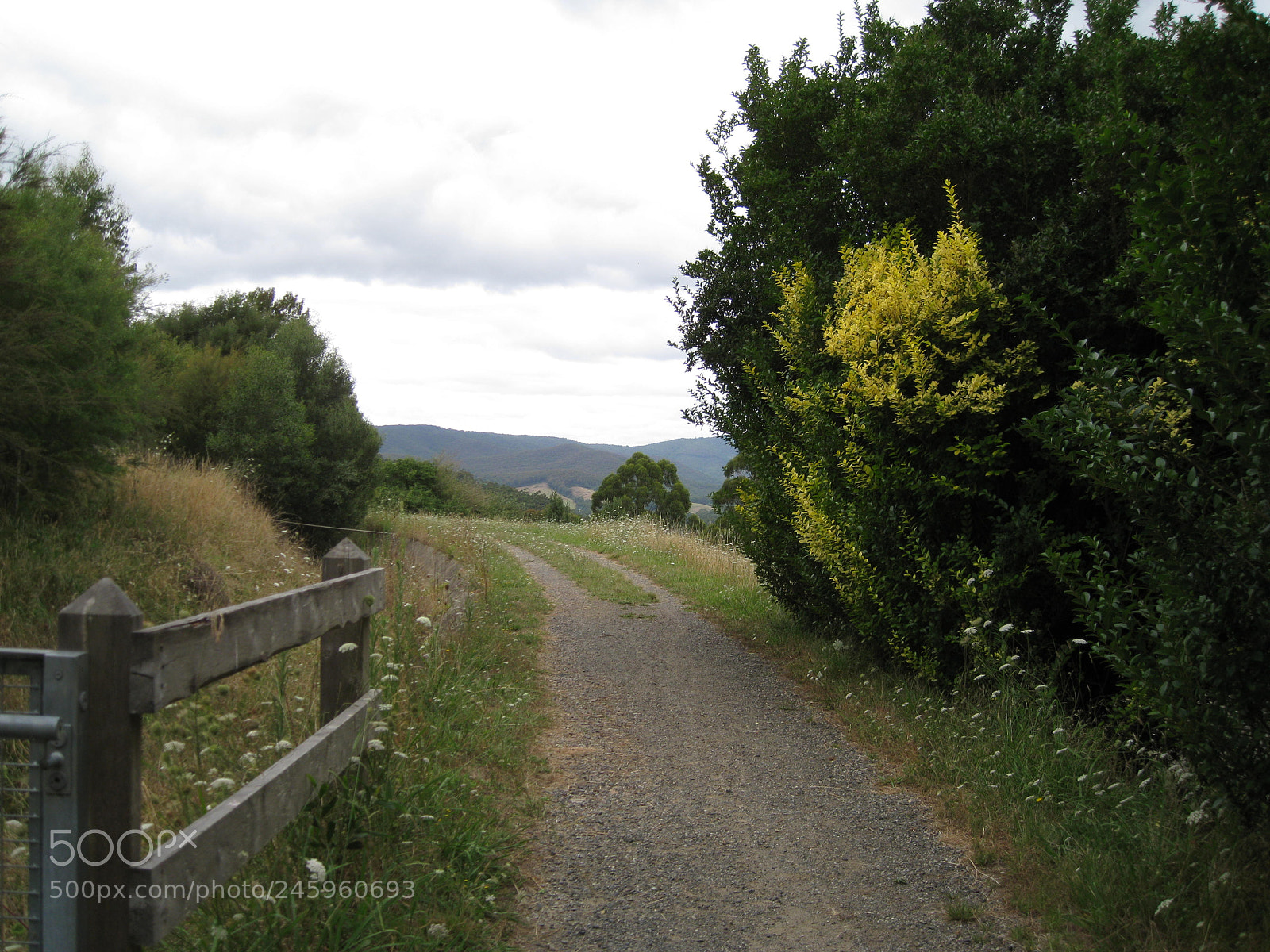 Canon DIGITAL IXUS 960 IS sample photo. A moutain walk photography