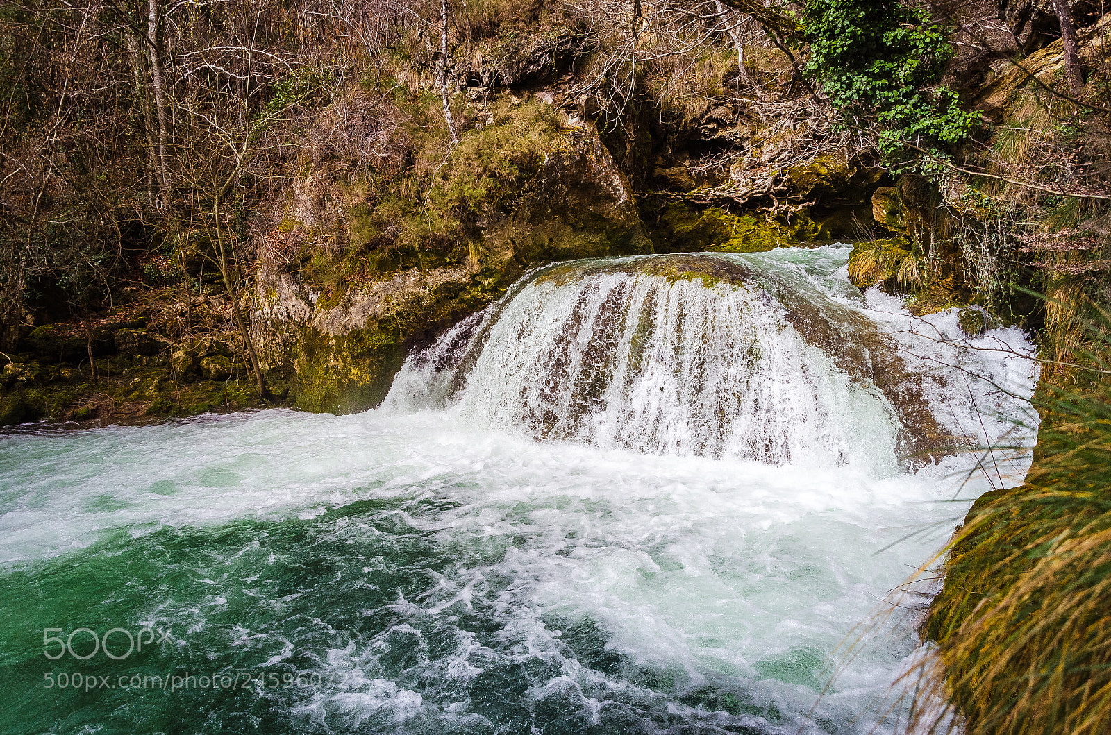 Nikon D5100 sample photo. Nacimiento de urederra photography