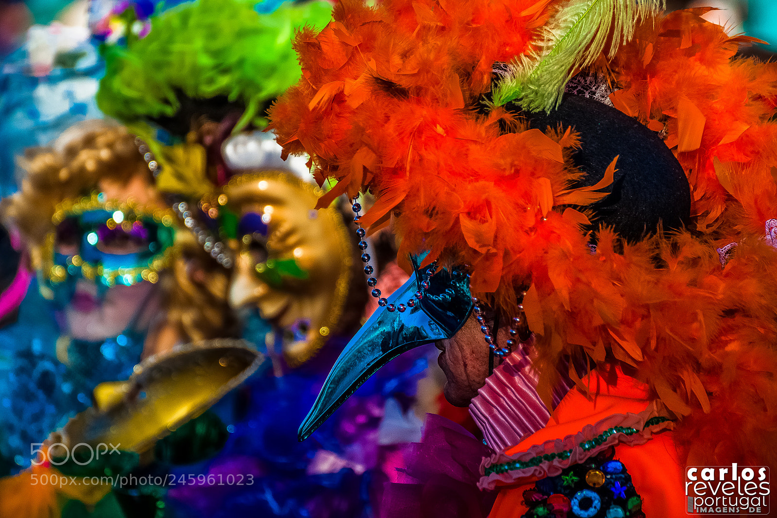 Nikon D5000 sample photo. 5/5 dias de carnaval photography