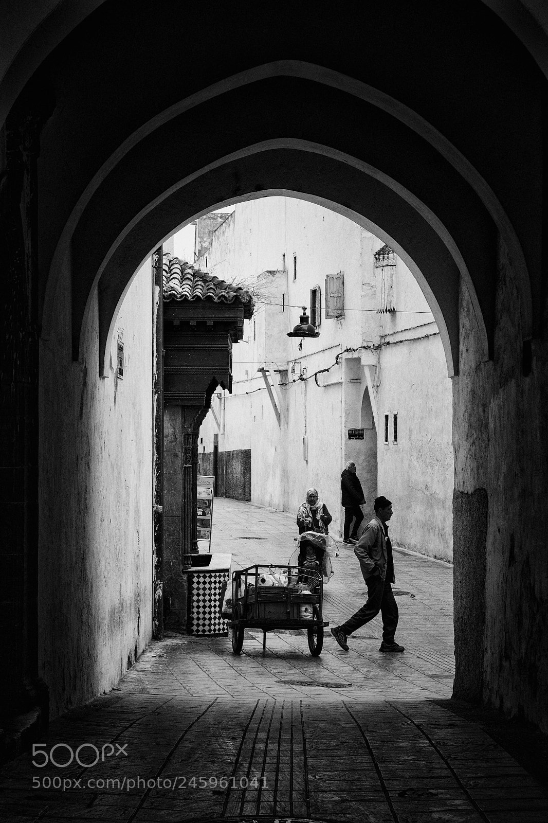 Nikon D7100 sample photo. Passing by photography