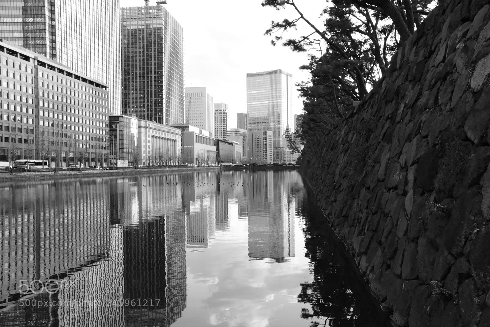 Nikon D5600 sample photo. Tokyo city and river photography