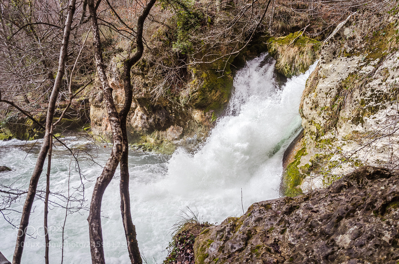 Nikon D5100 sample photo. Nacimiento de urederra photography