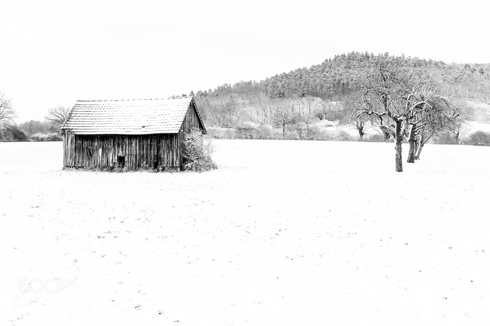 Sony a7 II sample photo. Winter in franconian swiss photography