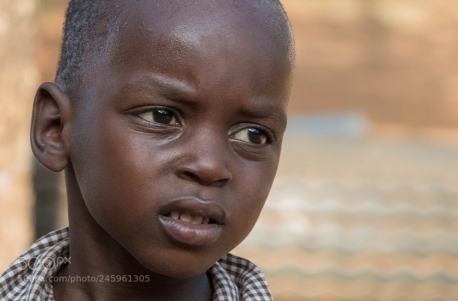 Nikon D500 sample photo. School boy photography