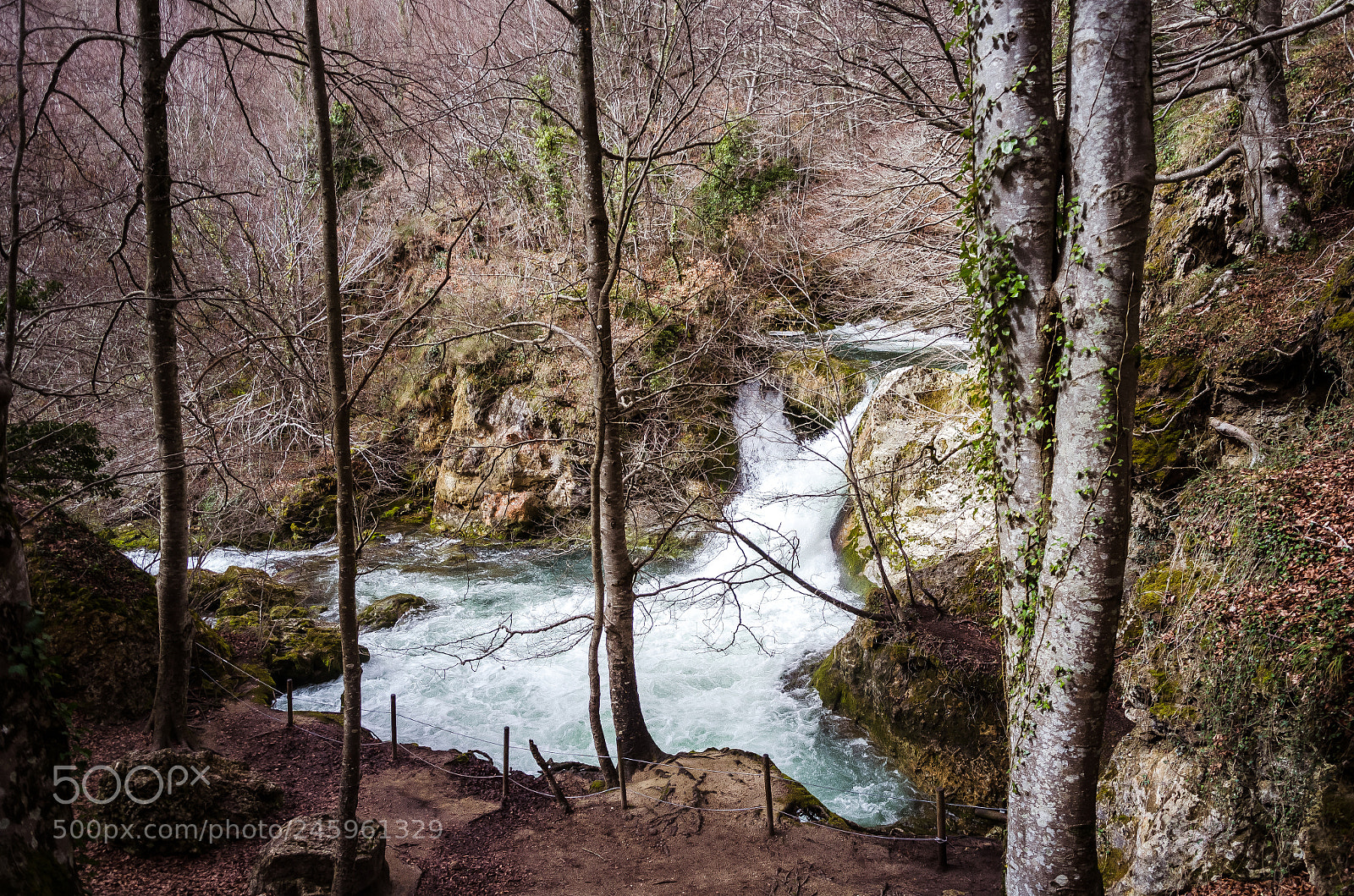 Nikon D5100 sample photo. Nacimiento de urederra photography
