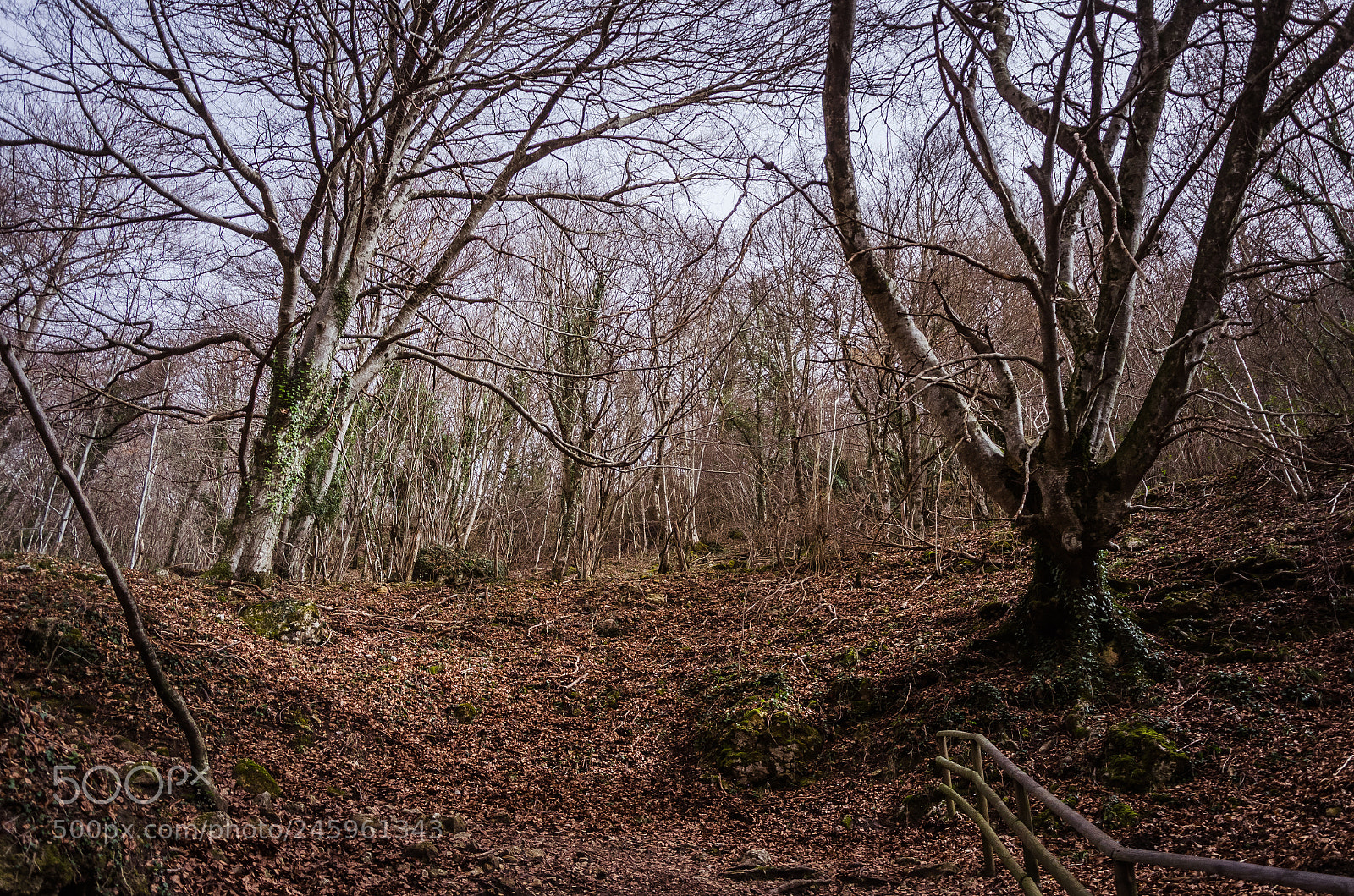 Nikon D5100 sample photo. Nacimiento de urederra photography