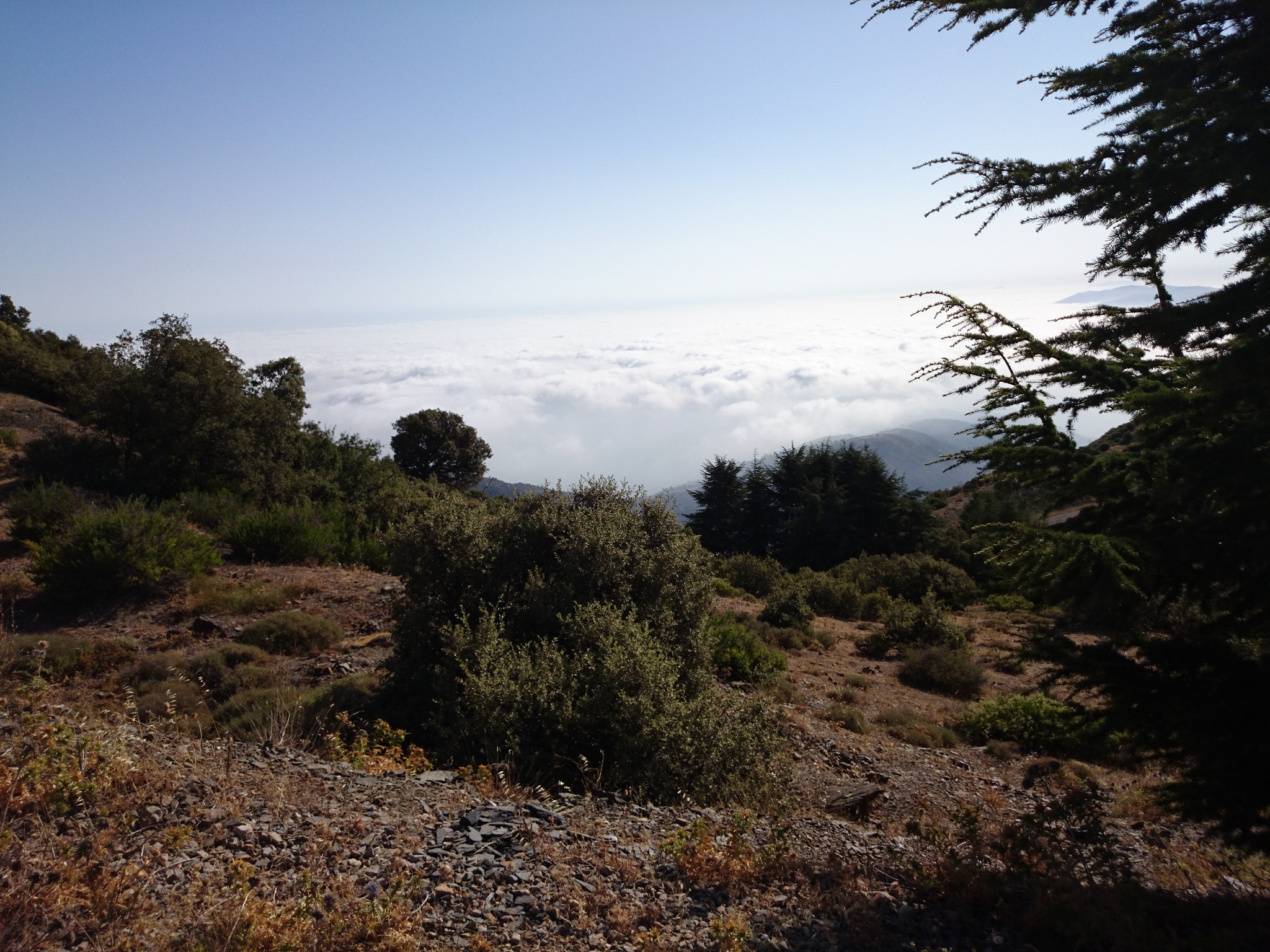 Sony Xperia Z1 Compact sample photo. Above the sky photography