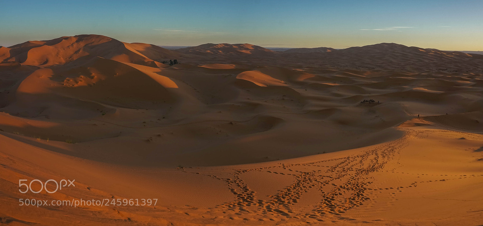 Sony a6000 sample photo. Sunrise in sahara desert photography