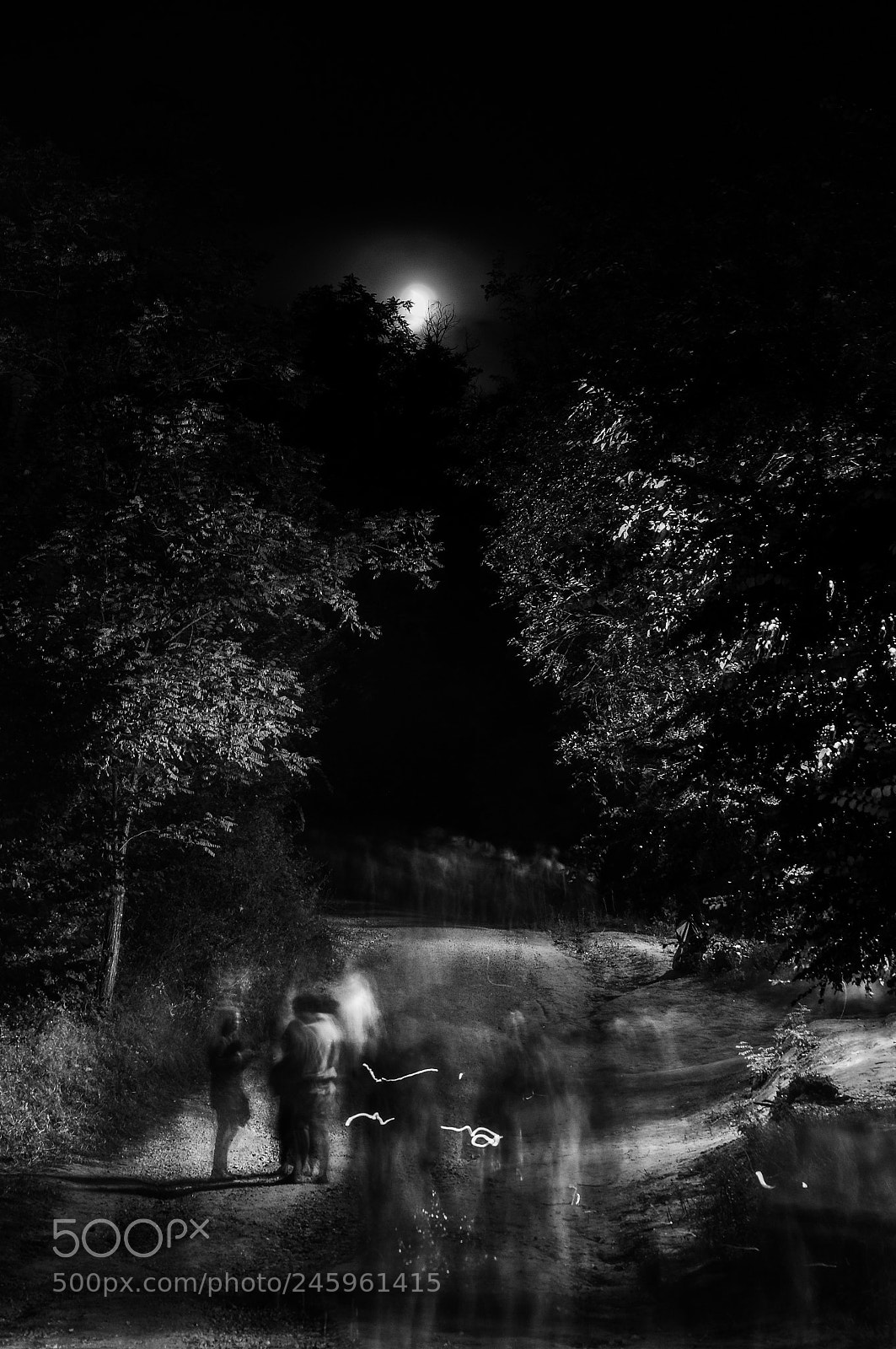 Nikon D90 sample photo. Moon people photography