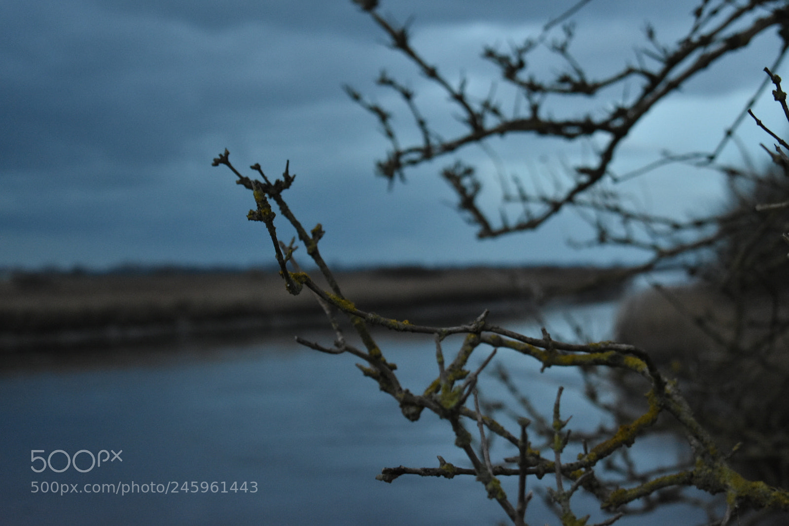 Nikon D3400 sample photo. . photography