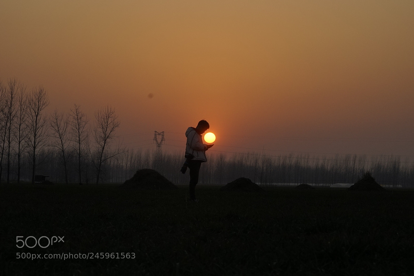 Sony a7 sample photo. 夕阳 photography