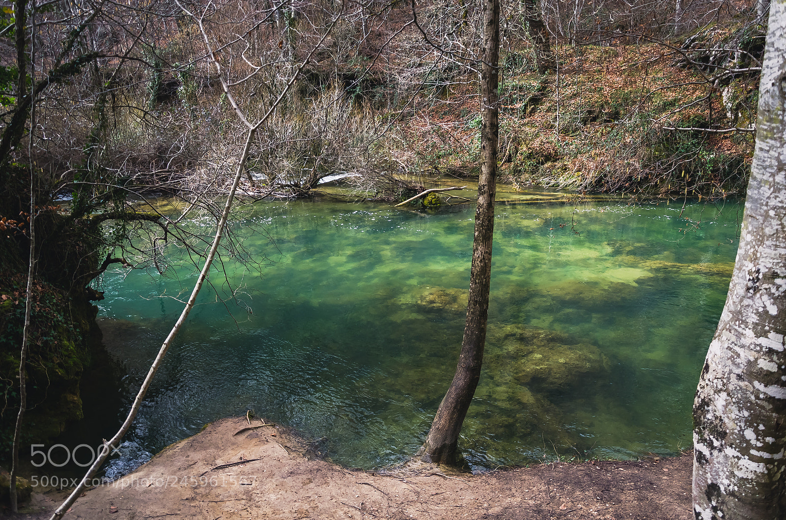 Nikon D5100 sample photo. Nacimiento de urederra photography