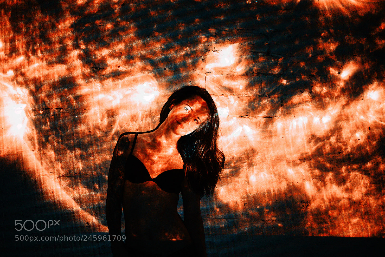 Nikon D610 sample photo. Sun photography