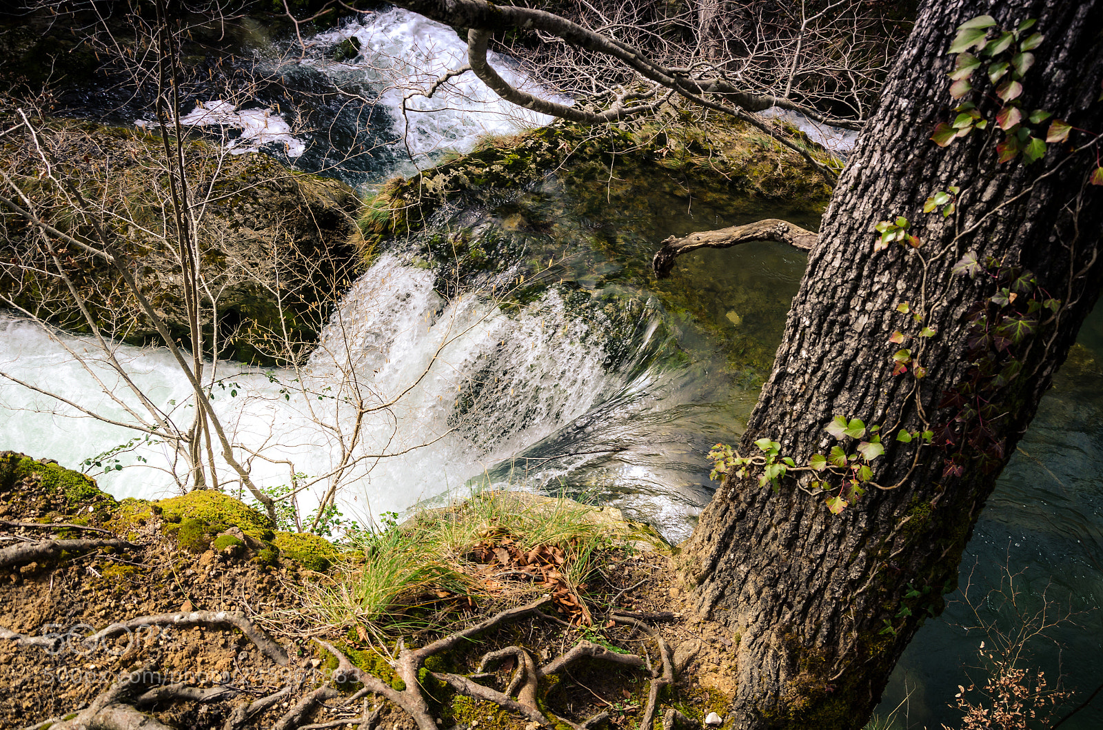 Nikon D5100 sample photo. Nacimiento de urederra photography