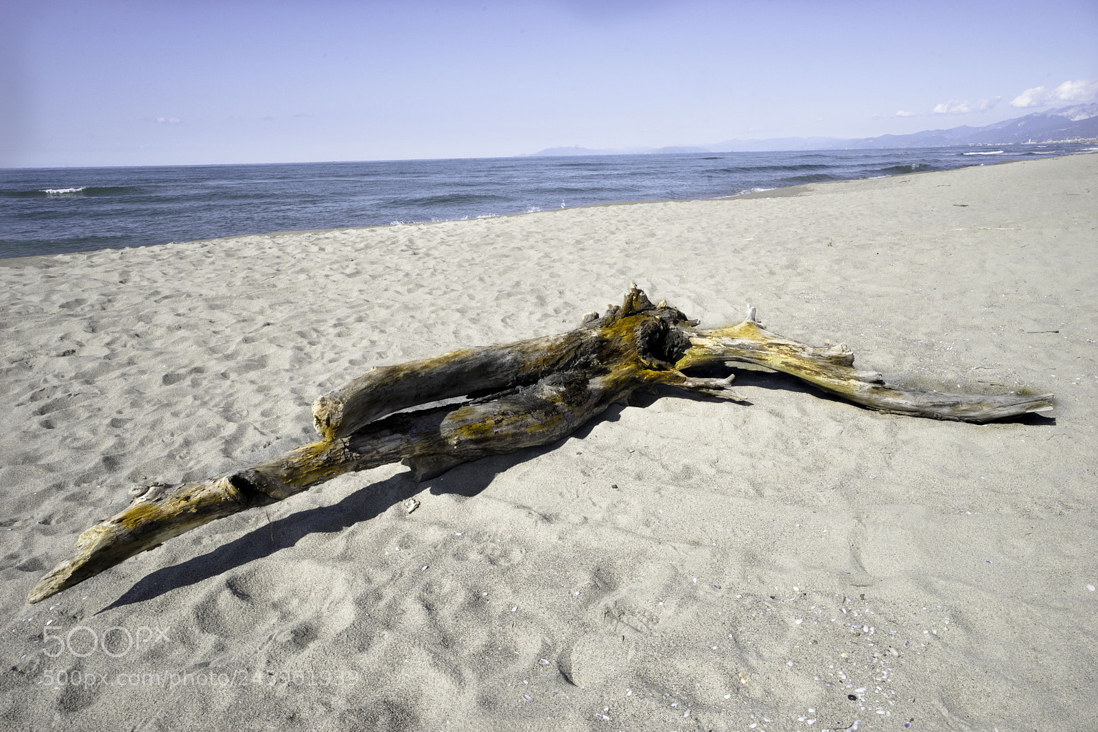 Sony a7 II sample photo. Avecchiano naufragb photography