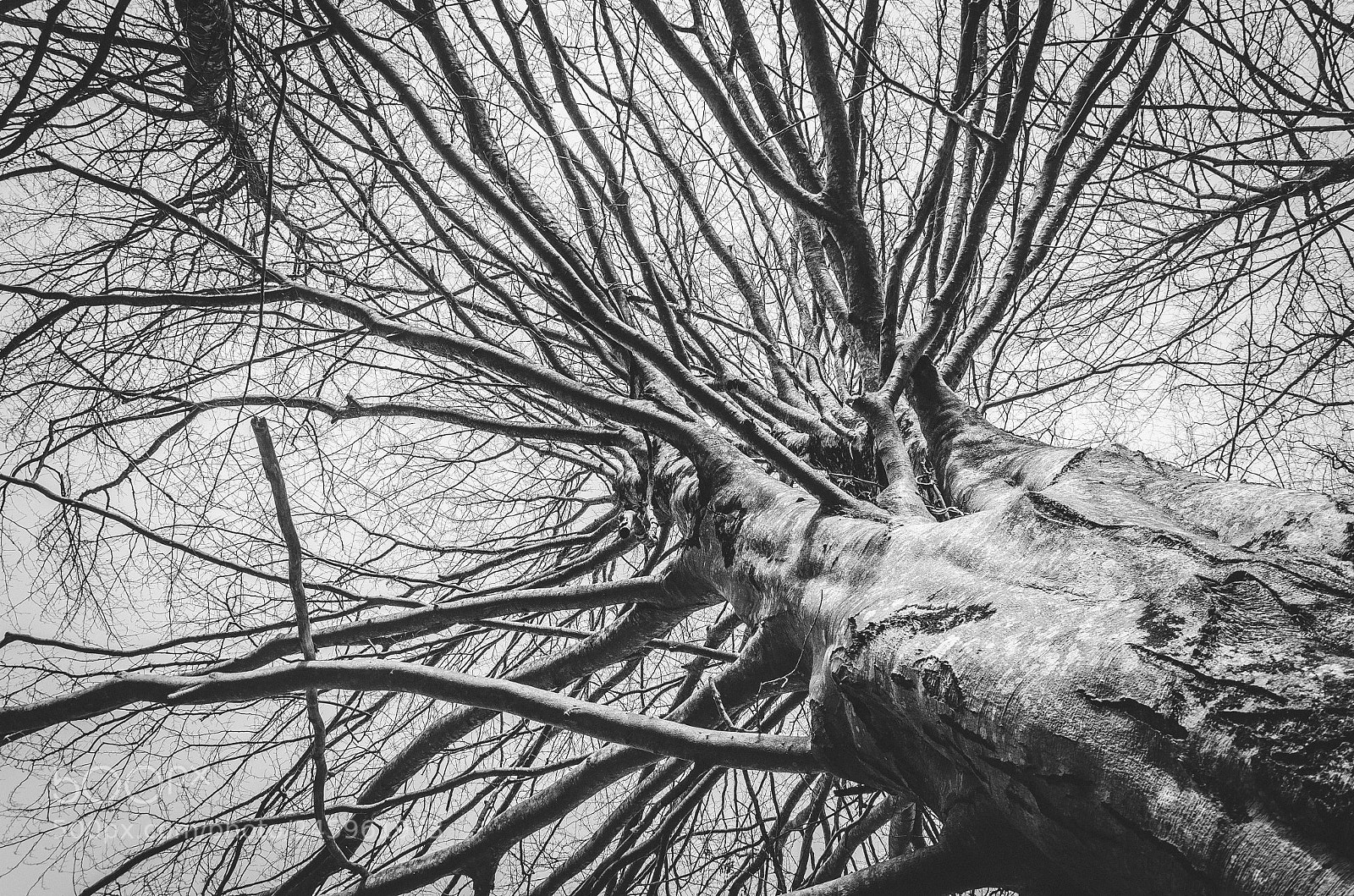 Nikon D5100 sample photo. Nacimiento de urederra photography
