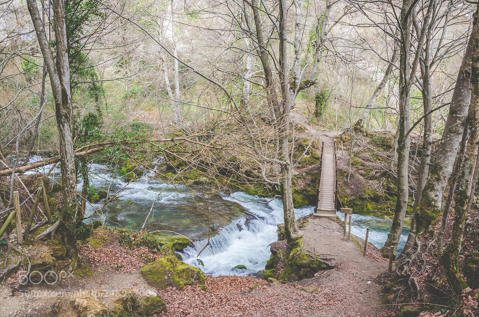 Nikon D5100 sample photo. Nacimiento de urederra photography