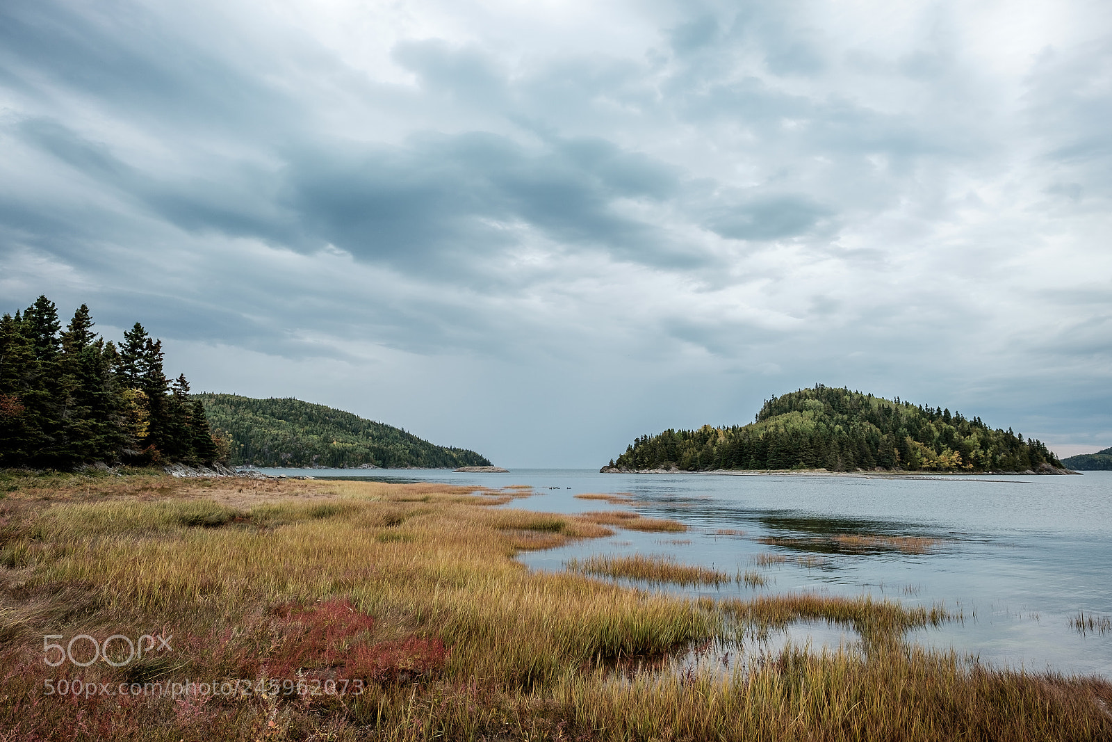 Fujifilm X-E2 sample photo. Parc du bic photography