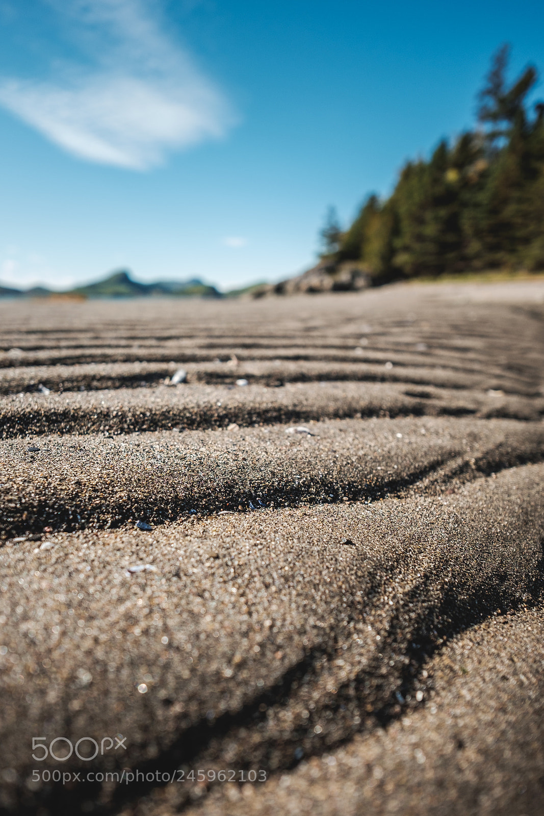 Fujifilm X-E2 sample photo. Parc du bic photography