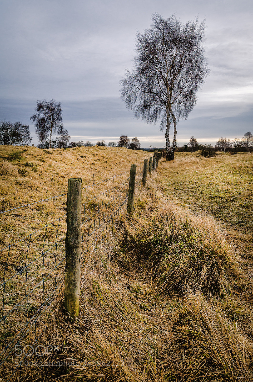 Sony a7 II sample photo. Fence line photography