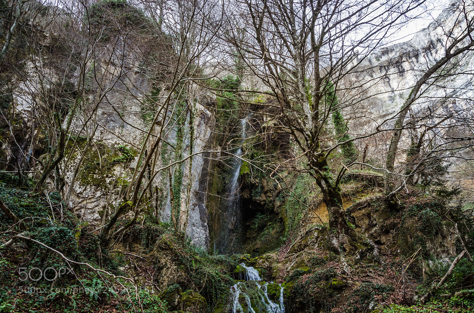 Nikon D5100 sample photo. Nacimiento de urederra photography