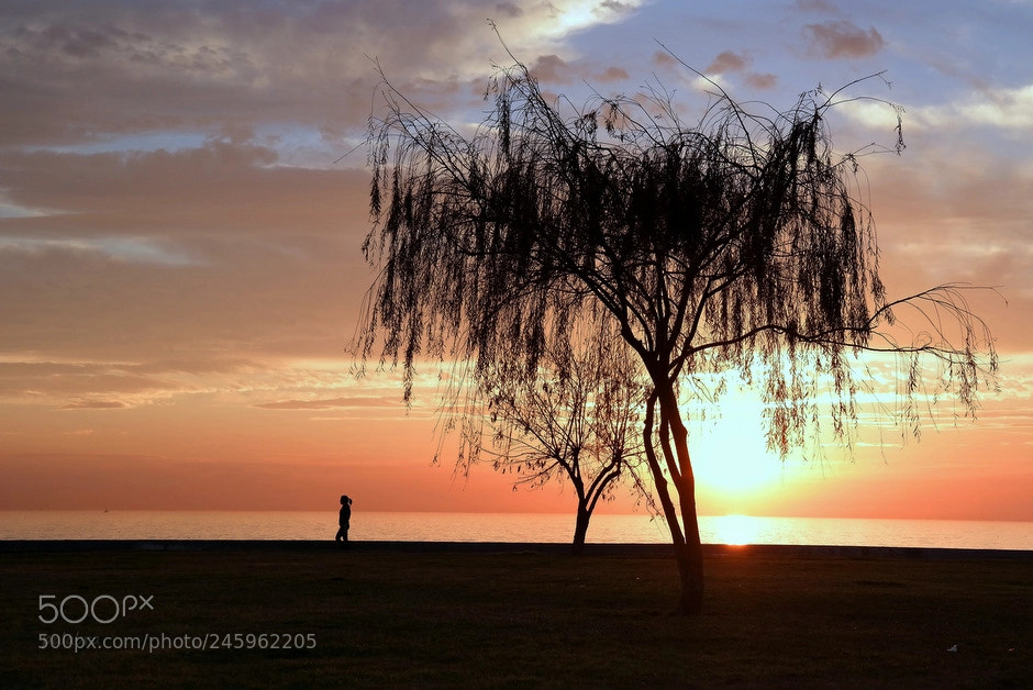 Samsung NX300 sample photo. ... photography