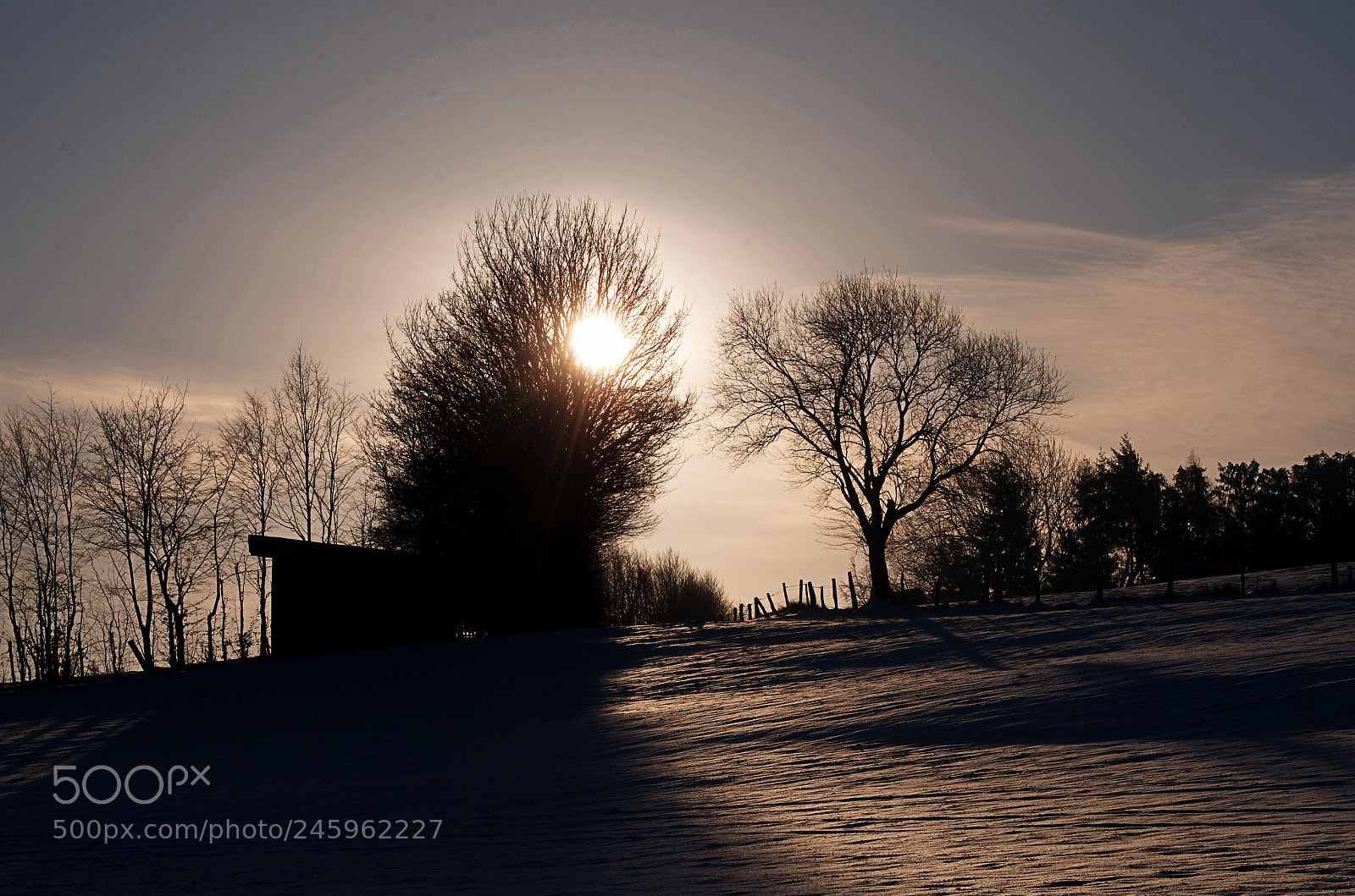 Nikon D5100 sample photo. February mornings photography