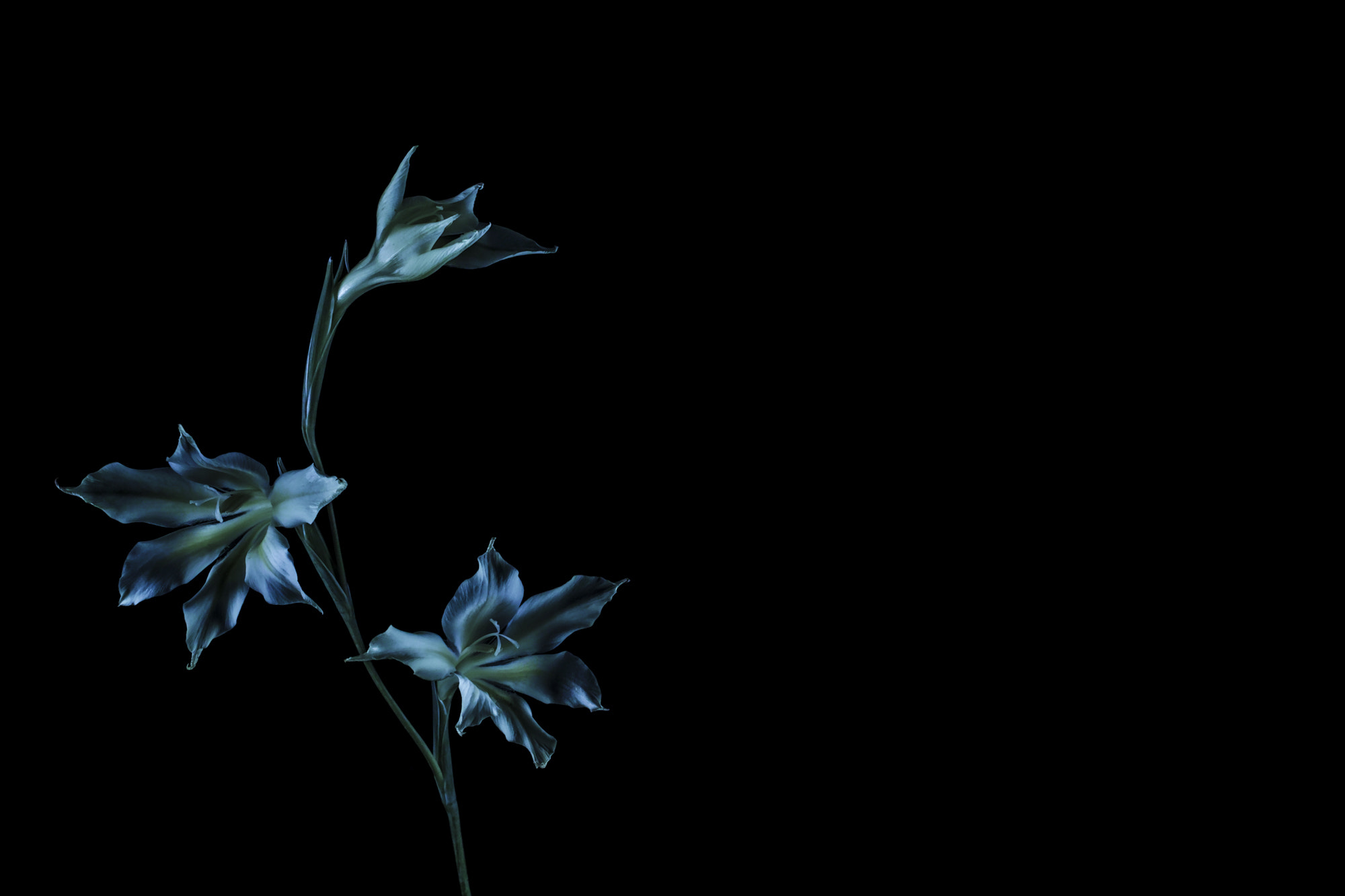 Sigma sd Quattro sample photo. 端倪 photography