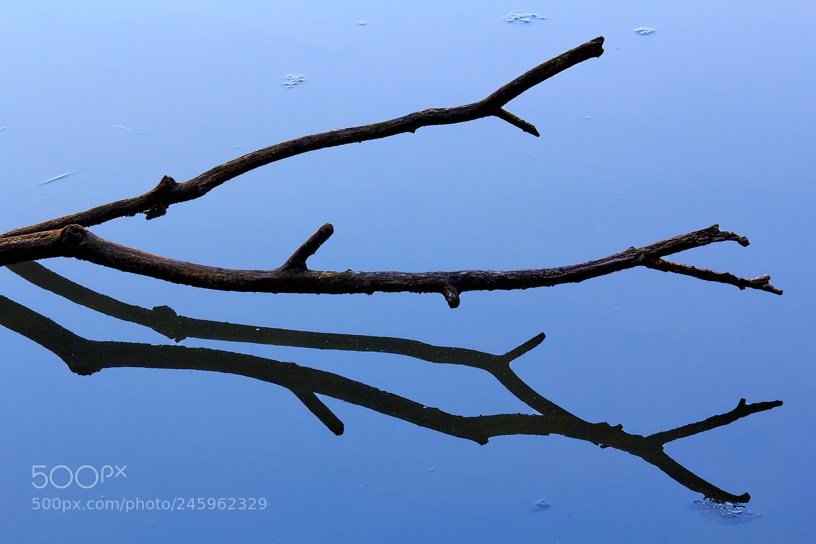 Canon EOS 60D sample photo. Illusion photography