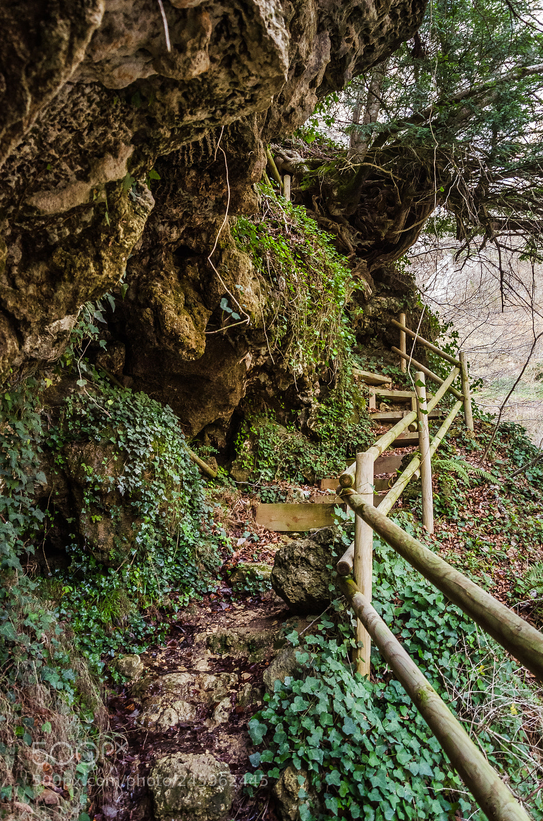 Nikon D5100 sample photo. Nacimiento de urederra photography