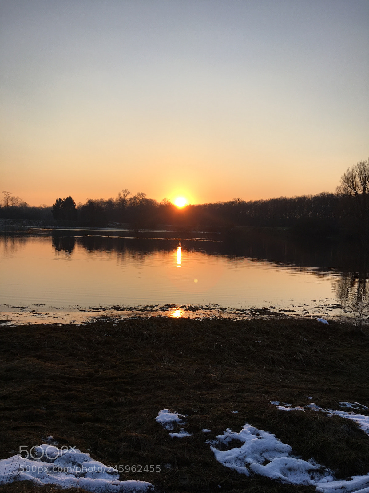 Apple iPhone SE sample photo. Untitled photography