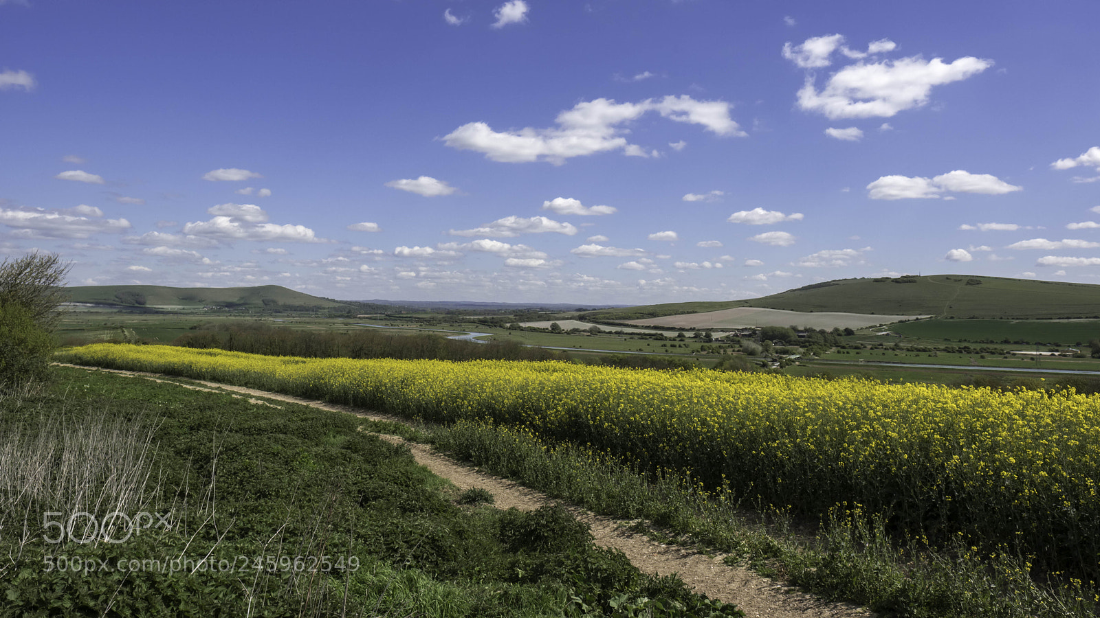 Fujifilm X-T2 sample photo. Rapeseed in the rolling photography