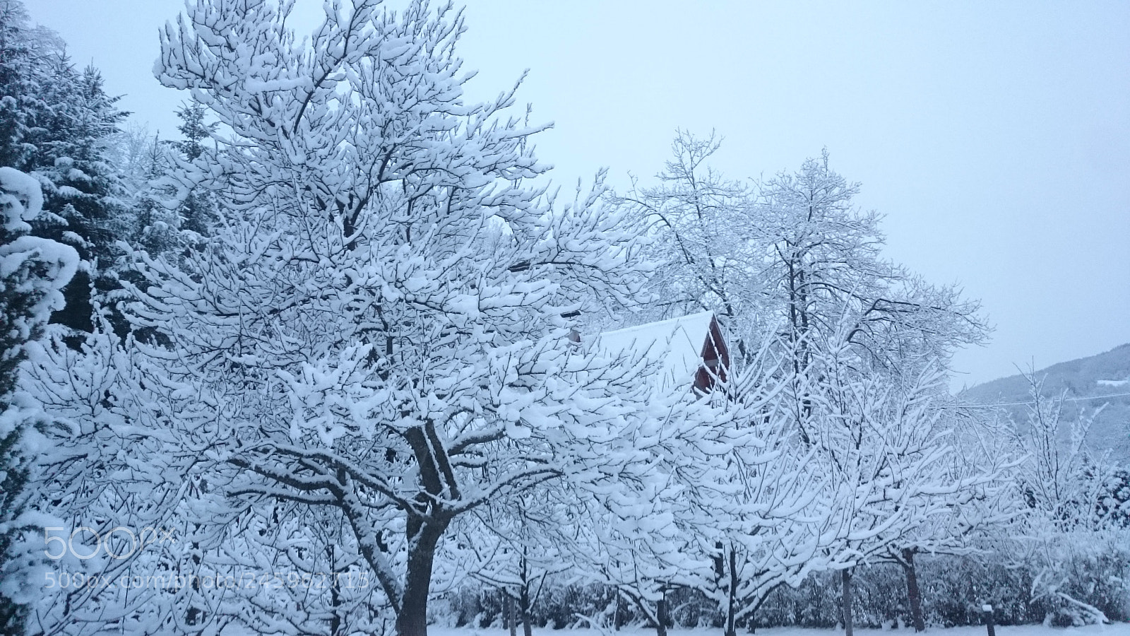 Sony Xperia Z2 sample photo. Snow? photography