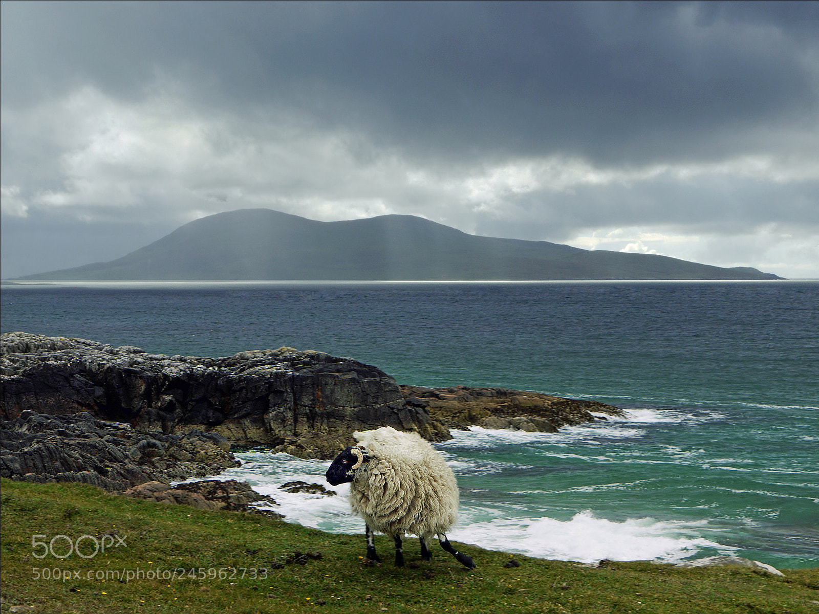 Panasonic Lumix DMC-GF1 sample photo. Windswept on harris photography