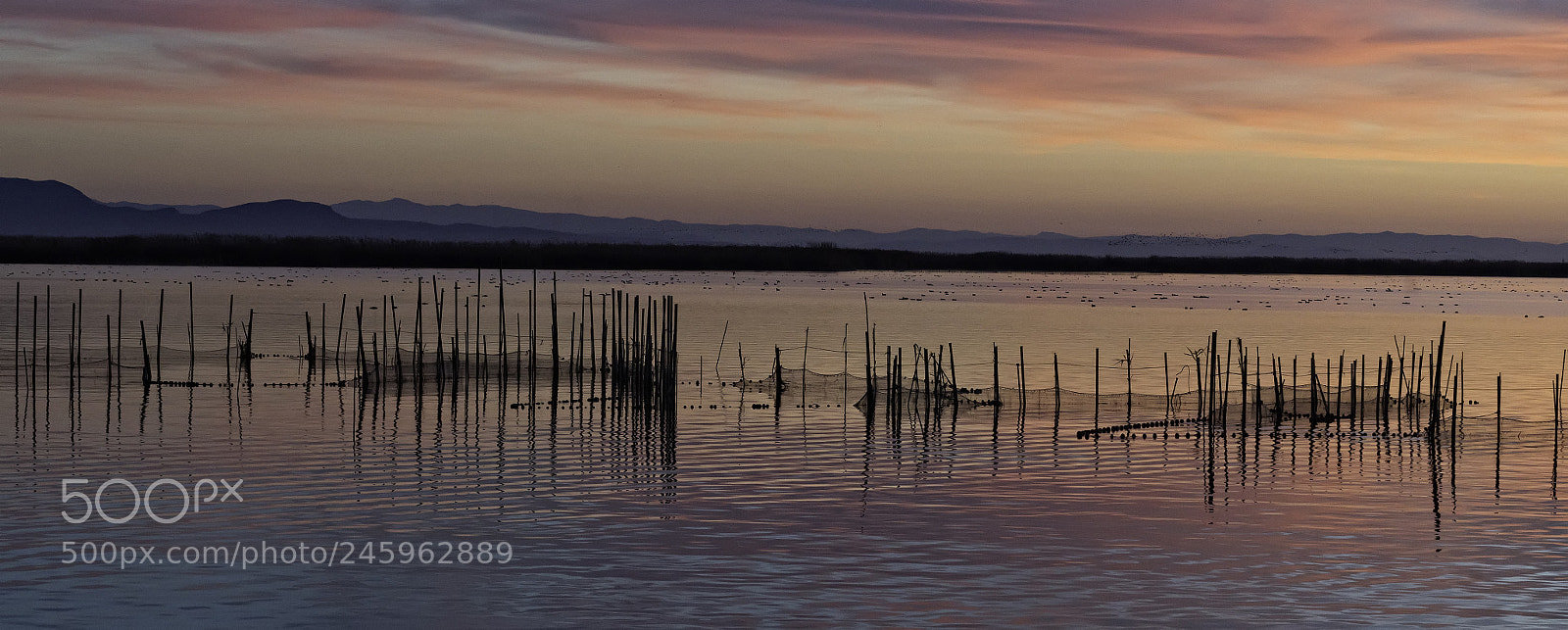 Sony a7R II sample photo. Ocaso photography