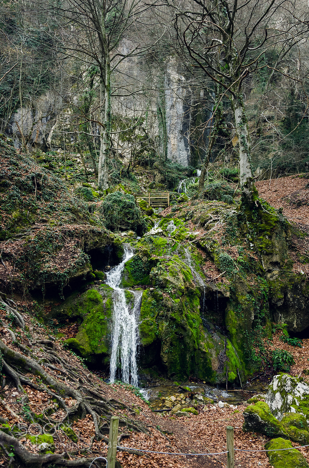 Nikon D5100 sample photo. Nacimiento de urederra photography