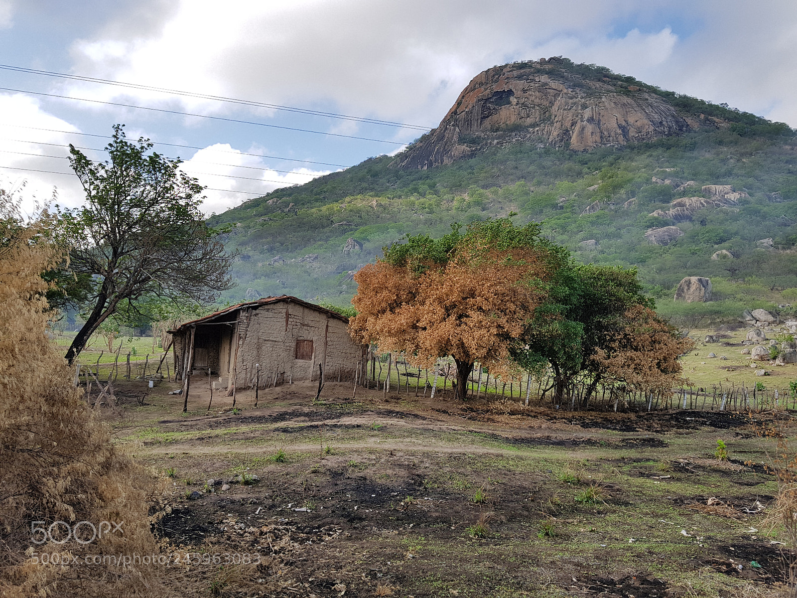Samsung Galaxy S8 sample photo. No meio do tudo photography