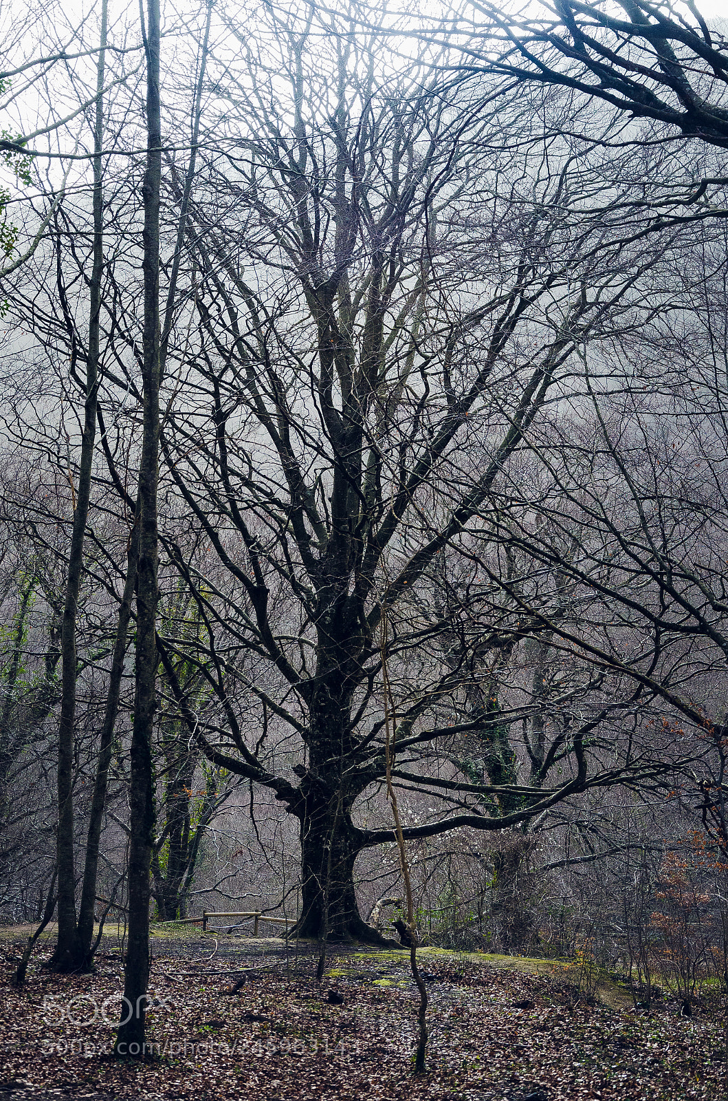 Nikon D5100 sample photo. Nacimiento de urederra photography