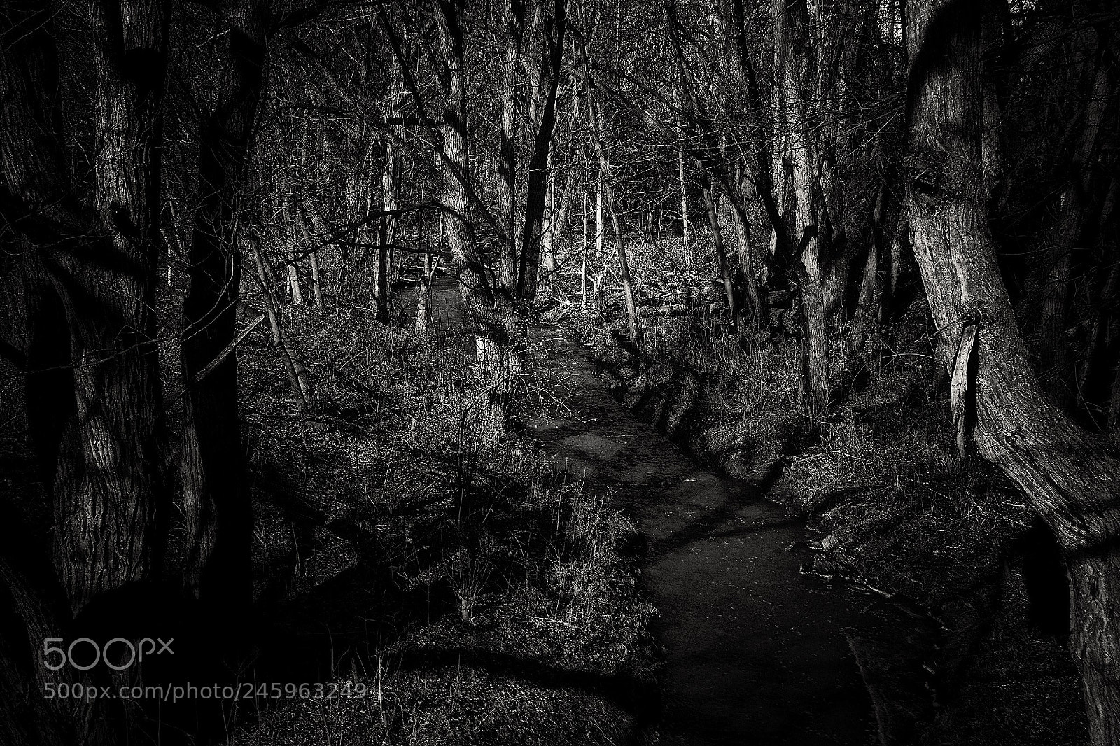 Pentax K-1 sample photo. Shadows in the dark photography