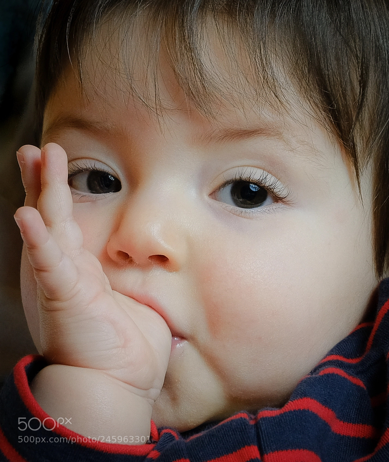 Fujifilm X-T2 sample photo. Ms v photography