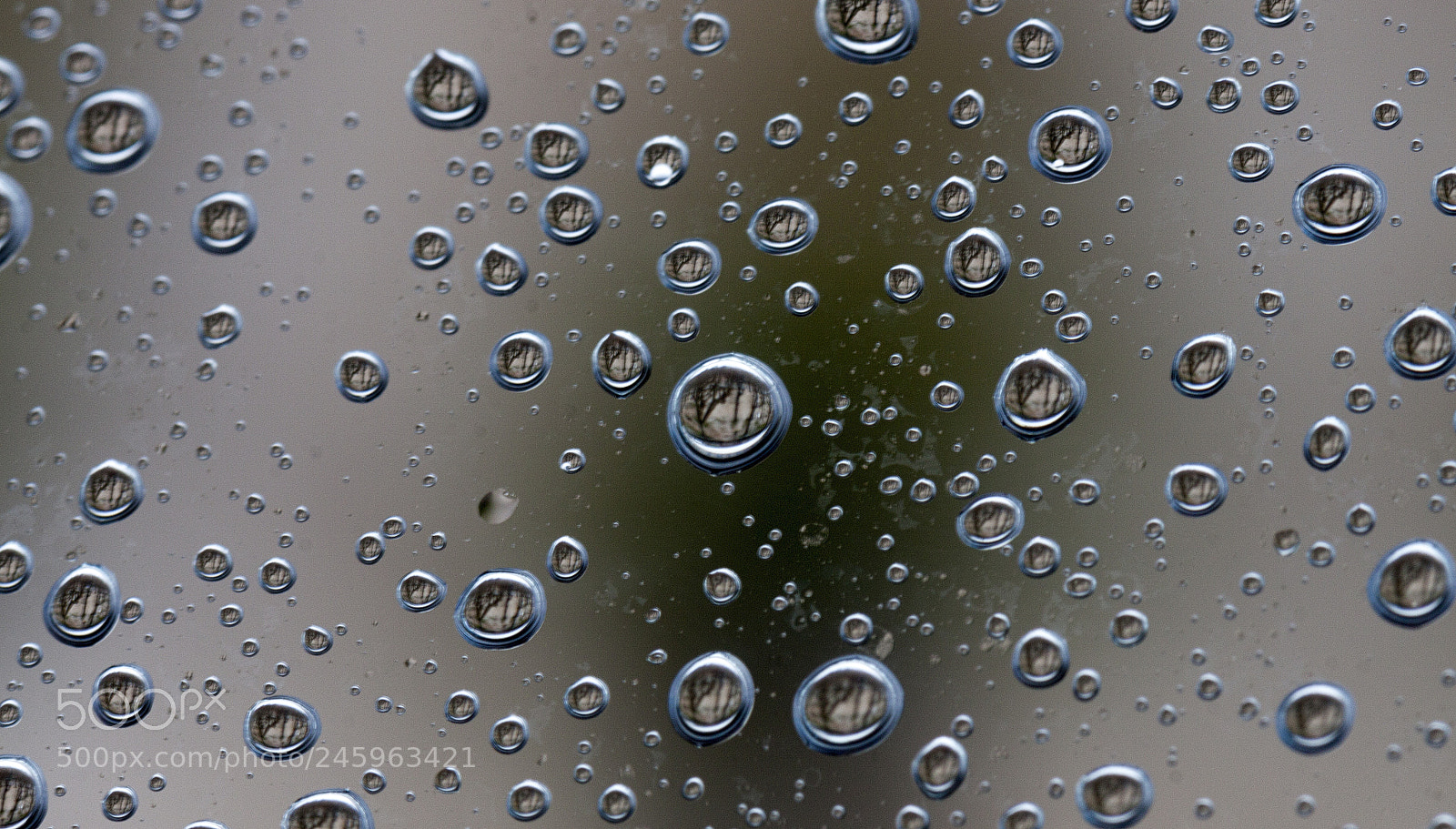Canon EOS 50D sample photo. Chuva photography