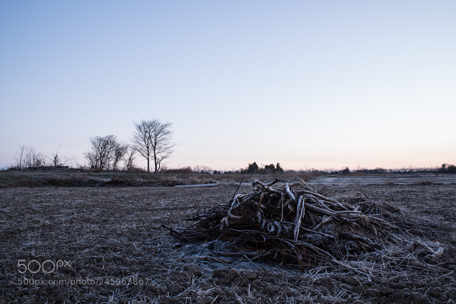 Nikon D810 sample photo. Frosted fields photography