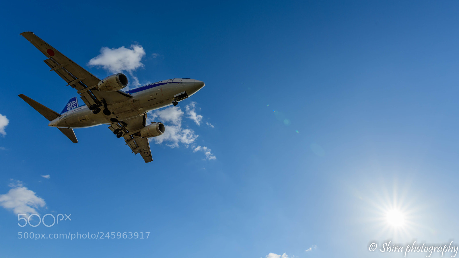 Nikon D810 sample photo. Airplane photography