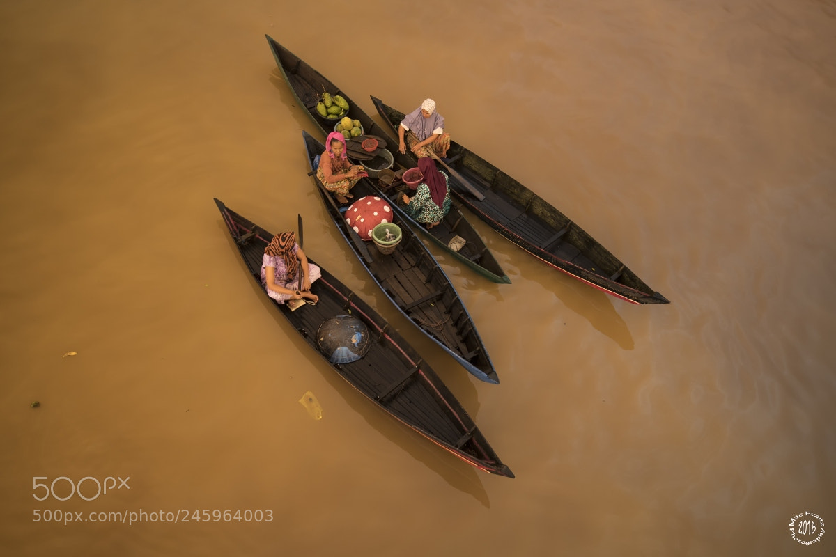 Nikon D850 sample photo. The sellers photography