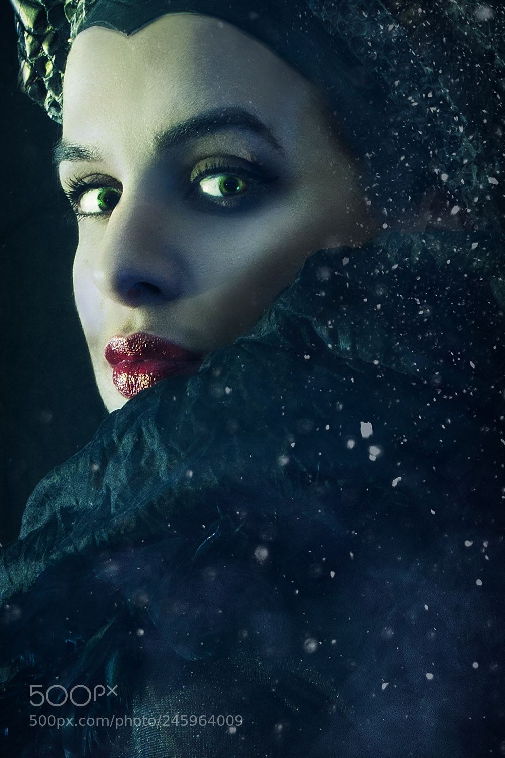 Nikon D3X sample photo. Maleficent photography