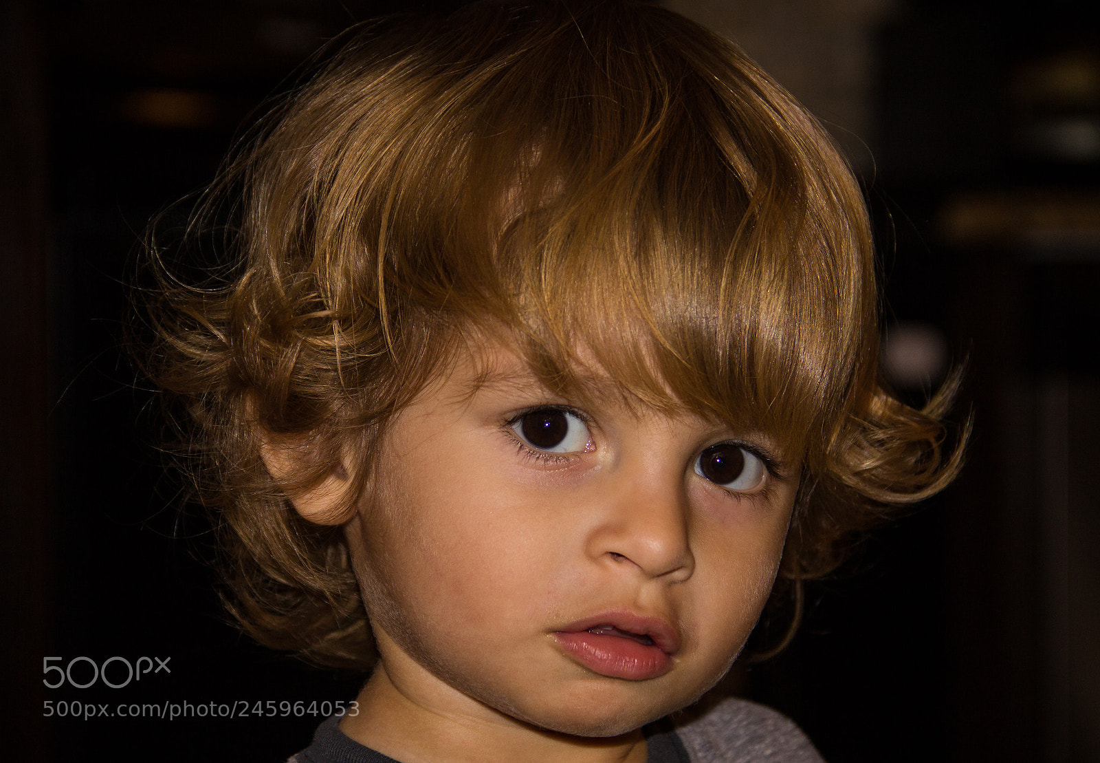 Canon EOS 600D (Rebel EOS T3i / EOS Kiss X5) sample photo. Portrait of a boy.   photography