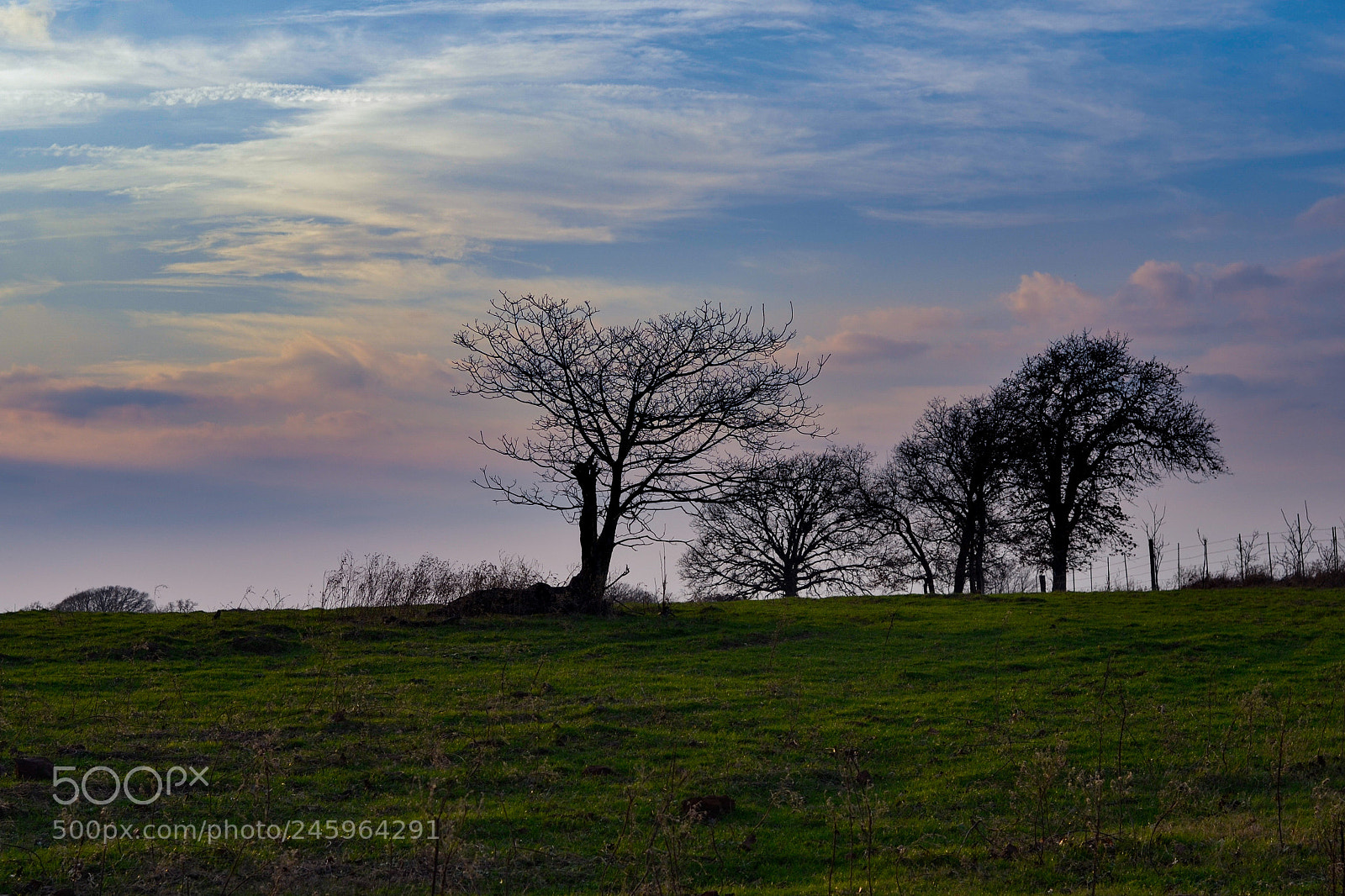 Nikon D3100 sample photo. Grassy hill photography