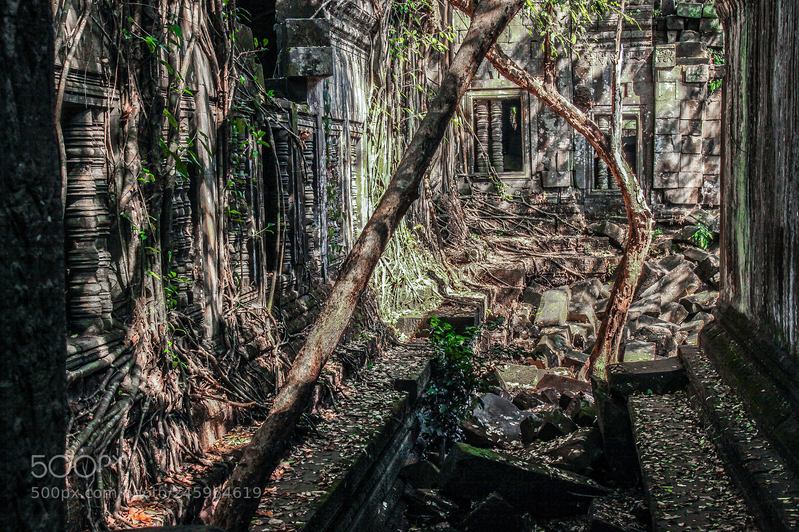 Canon EOS 50D sample photo. Fairy tale photography