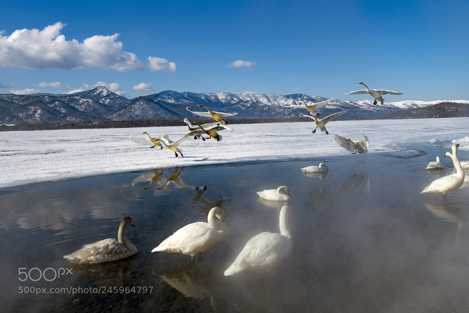 Nikon D850 sample photo. A winter morning photography