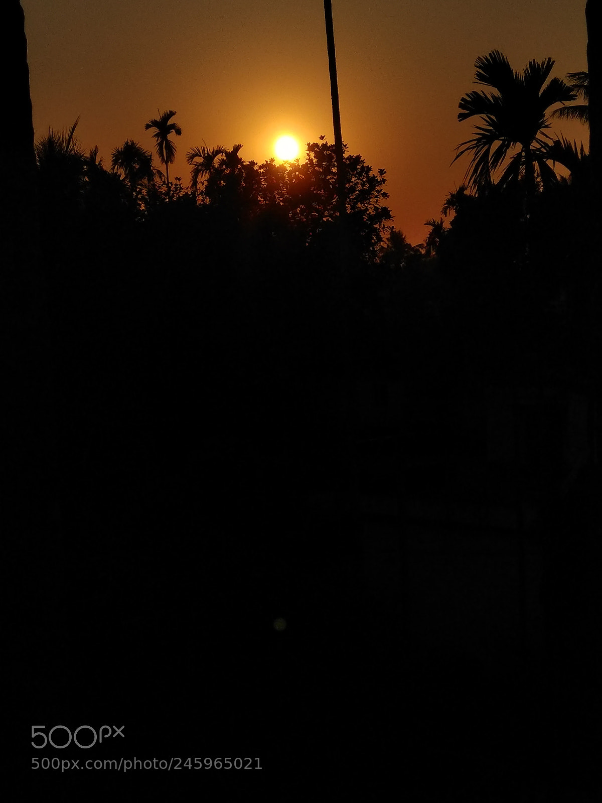 Xiaomi Redmi Note 4 sample photo. Burning!! photography